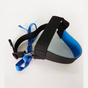 Anti-static ankle strap